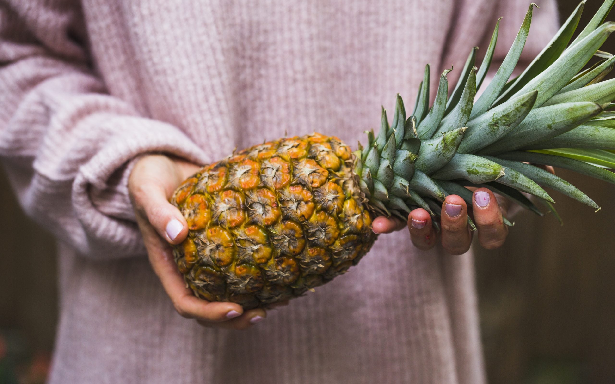 Pessoa segura um abacaxi inteiro com casca e folhas, fruta rica em água que pode fazer parte da alimentação ao lado de outros alimentos que ajudam a combater o inchaço e a retenção de líquidos.
