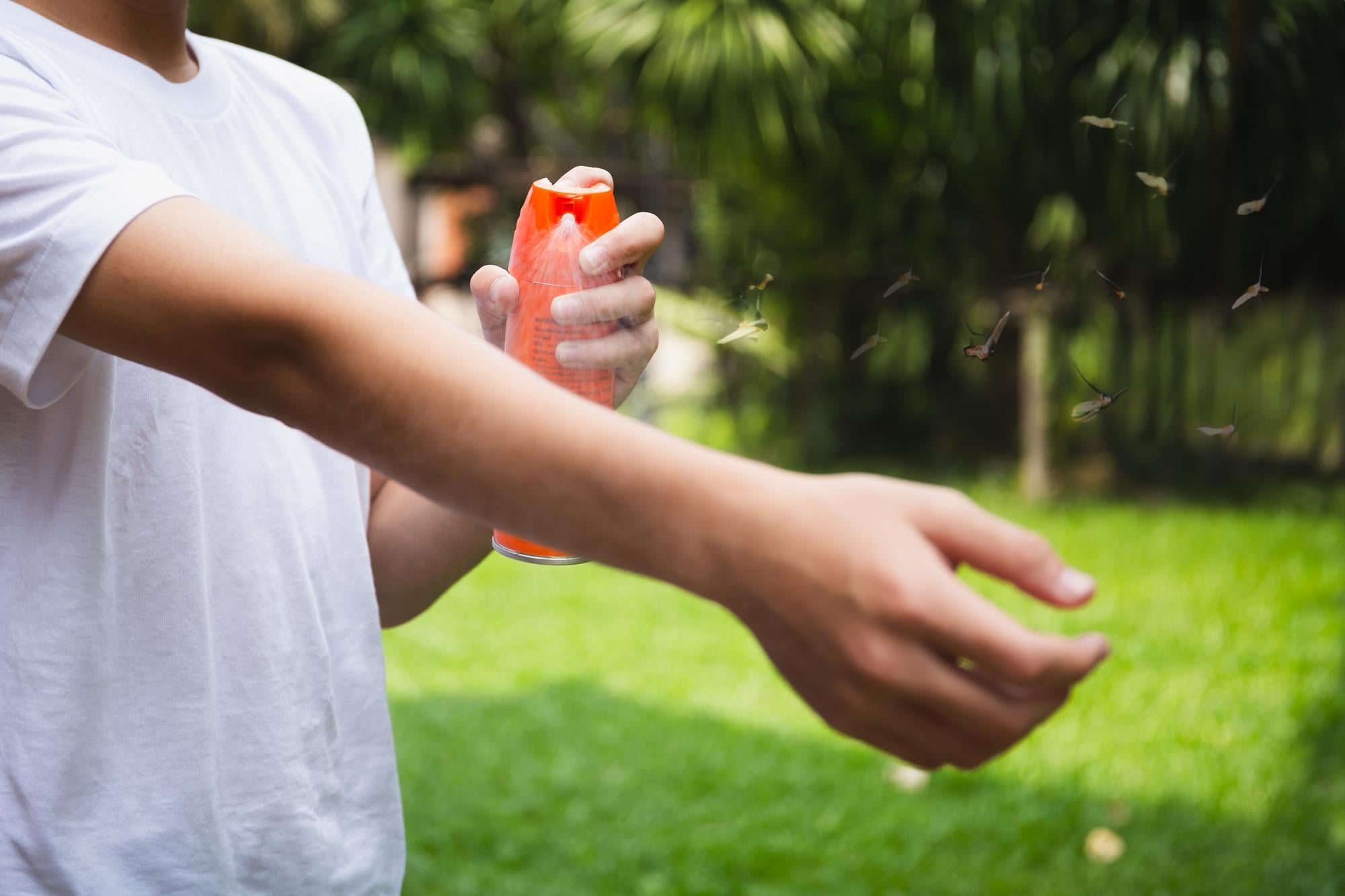 ‘Ímã de mosquito’: por que algumas pessoas são mais picadas?